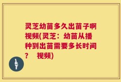 灵芝幼苗多久出苗子啊视频(灵芝：幼苗从播种到出苗需要多长时间？  视频)