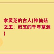 拿灵芝的古人(神仙菇之王：灵芝的千年草源)