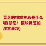 灵芝的摆放禁忌是什么呢(禁忌！摆放灵芝的注意事项)