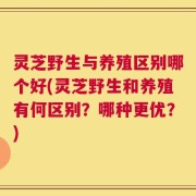 灵芝野生与养殖区别哪个好(灵芝野生和养殖有何区别？哪种更优？)