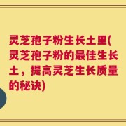 灵芝孢子粉生长土里(灵芝孢子粉的最佳生长土，提高灵芝生长质量的秘诀)