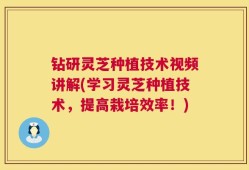 钻研灵芝种植技术视频讲解(学习灵芝种植技术，提高栽培效率！)