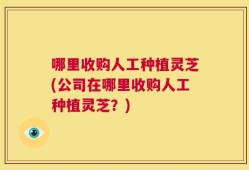 哪里收购人工种植灵芝(公司在哪里收购人工种植灵芝？)