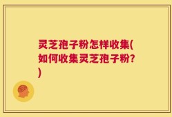 灵芝孢子粉怎样收集(如何收集灵芝孢子粉？)