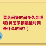 灵芝采集时间多久合适呢(灵芝采摘最佳时间是什么时候？)