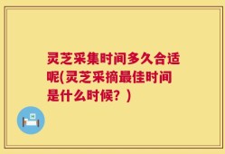 灵芝采集时间多久合适呢(灵芝采摘最佳时间是什么时候？)