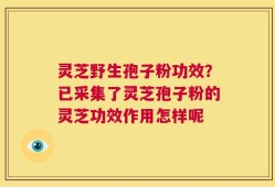 灵芝野生孢子粉功效？已采集了灵芝孢子粉的灵芝功效作用怎样呢