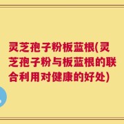 灵芝孢子粉板蓝根(灵芝孢子粉与板蓝根的联合利用对健康的好处)