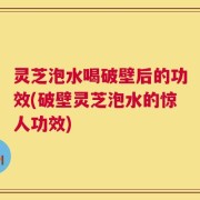 灵芝泡水喝破壁后的功效(破壁灵芝泡水的惊人功效)