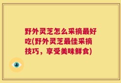 野外灵芝怎么采摘最好吃(野外灵芝最佳采摘技巧，享受美味鲜食)