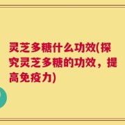 灵芝多糖什么功效(探究灵芝多糖的功效，提高免疫力)