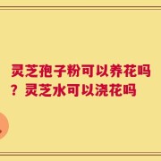 灵芝孢子粉可以养花吗？灵芝水可以浇花吗