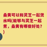 桑黄可以和灵芝一起煲水吗(能够与灵芝一起煮，桑黄有哪些好处？)