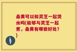 桑黄可以和灵芝一起煲水吗(能够与灵芝一起煮，桑黄有哪些好处？)