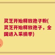 灵芝开始释放孢子粉(灵芝开始释放孢子，全国进入采摘季)
