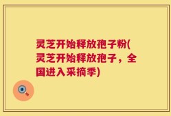 灵芝开始释放孢子粉(灵芝开始释放孢子，全国进入采摘季)