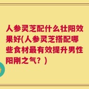 人参灵芝配什么壮阳效果好(人参灵芝搭配哪些食材最有效提升男性阳刚之气？)
