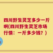 四川野生灵芝多少一斤啊(四川野生灵芝市场行情：一斤多少钱？)