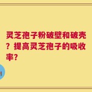 灵芝孢子粉破壁和破壳？提高灵芝孢子的吸收率？