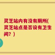 灵芝站内有没有厕所(灵芝站点是否设有卫生间？)