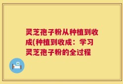 灵芝孢子粉从种植到收成(种植到收成：学习灵芝孢子粉的全过程