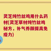 灵芝炖竹丝鸡用什么药材(灵芝草材炖竹丝鸡秘方，补气养颜提高免疫力)