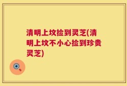 清明上坟捡到灵芝(清明上坟不小心捡到珍贵灵芝)