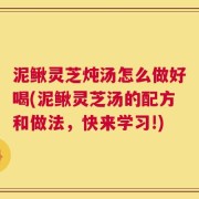 泥鳅灵芝炖汤怎么做好喝(泥鳅灵芝汤的配方和做法，快来学习!)