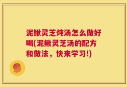 泥鳅灵芝炖汤怎么做好喝(泥鳅灵芝汤的配方和做法，快来学习!)