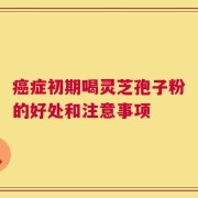 癌症初期喝灵芝孢子粉的好处和注意事项