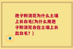 孢子粉浇花为什么土壤上长白毛(为什么用孢子粉浇花会在土壤上长出白毛？)