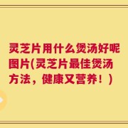 灵芝片用什么煲汤好呢图片(灵芝片最佳煲汤方法，健康又营养！)