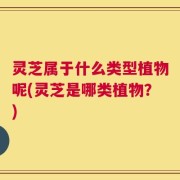 灵芝属于什么类型植物呢(灵芝是哪类植物？)