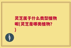 灵芝属于什么类型植物呢(灵芝是哪类植物？)