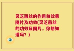 灵芝菌丝的作用和效果图片及功效(灵芝菌丝的功效及图片，你想知道吗？)