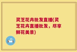 灵芝花卉批发直播(灵芝花卉直播批发，尽享鲜花美景)
