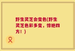 野生灵芝会变色(野生灵芝色彩多变，惊艳四方！)