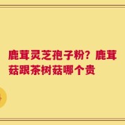 鹿茸灵芝孢子粉？鹿茸菇跟茶树菇哪个贵