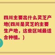 四川主要出什么灵芝产地(四川是灵芝的主要生产地，这些区域最适合种植。)