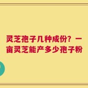 灵芝孢子几种成份？一亩灵芝能产多少孢子粉