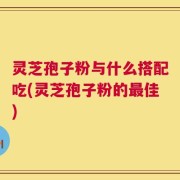灵芝孢子粉与什么搭配吃(灵芝孢子粉的最佳)