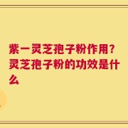 紫一灵芝孢子粉作用？灵芝孢子粉的功效是什么
