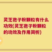 灵芝孢子粉颗粒有什么功效(灵芝孢子粉颗粒的功效及作用简析)