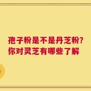 孢子粉是不是丹芝粉？你对灵芝有哪些了解