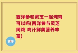 西洋参和灵芝一起炖鸡可以吗(西洋参与灵芝同炖 鸡汁鲜美营养丰富)