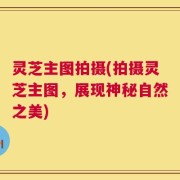 灵芝主图拍摄(拍摄灵芝主图，展现神秘自然之美)