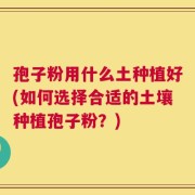 孢子粉用什么土种植好(如何选择合适的土壤种植孢子粉？)