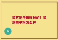 灵芝孢子粉咋长的？灵芝孢子粉怎么种