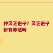 种灵芝孢子？灵芝孢子粉有养殖吗