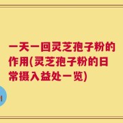 一天一回灵芝孢子粉的作用(灵芝孢子粉的日常摄入益处一览)